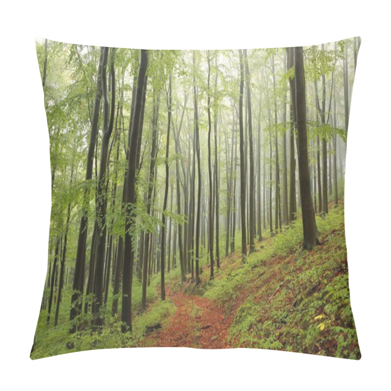 Personality  Path Through Misty Beech Forest Pillow Covers