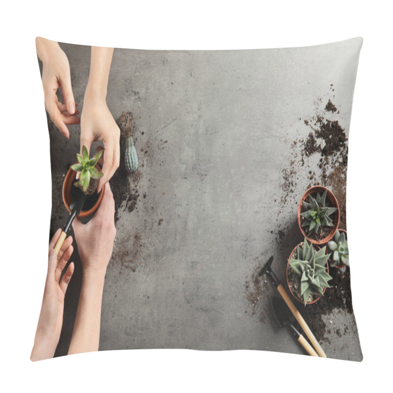 Personality  Women Transplanting Home Plants On Grey Background, Top View. Space For Text Pillow Covers