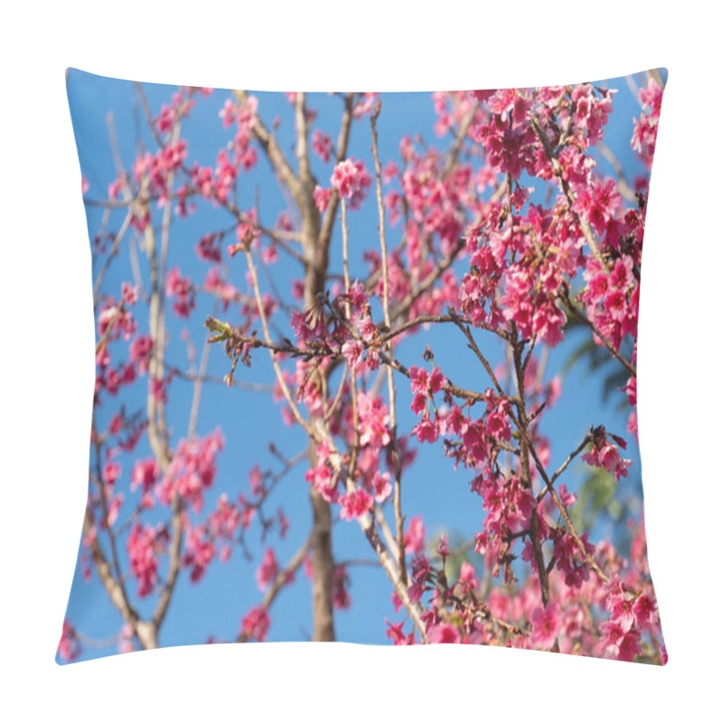 Personality  Branches Of A Tree Densely Covered In Bright Pink Blossoms Of Sakura Against A Clear Blue Sky. The Flowers Are In Full Bloom. Creating A Vibrant And Cheerful Spring Scene. Pillow Covers