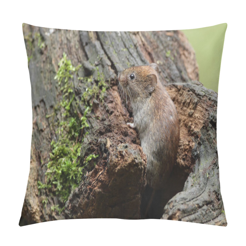 Personality  Wood Mouse On Nature  Pillow Covers