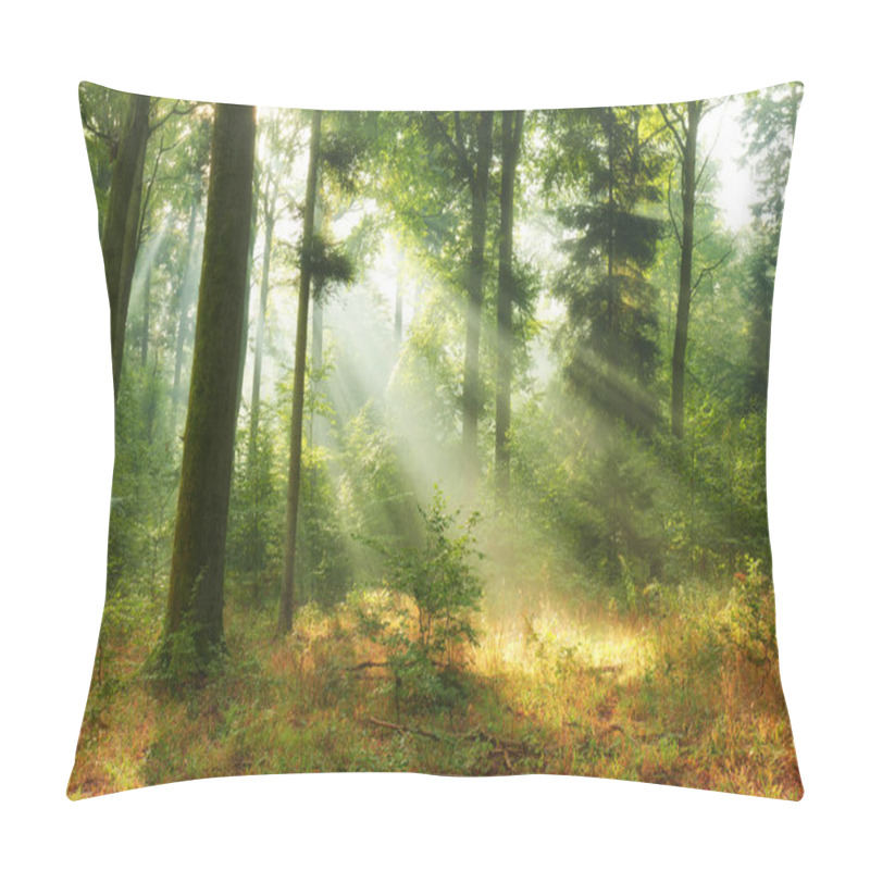 Personality  Beautiful Morning In The Forest Pillow Covers