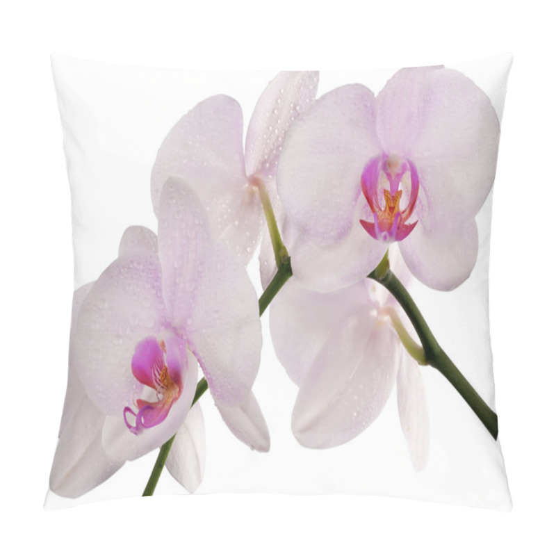 Personality  Light Pink Orchids With Drops On White Pillow Covers