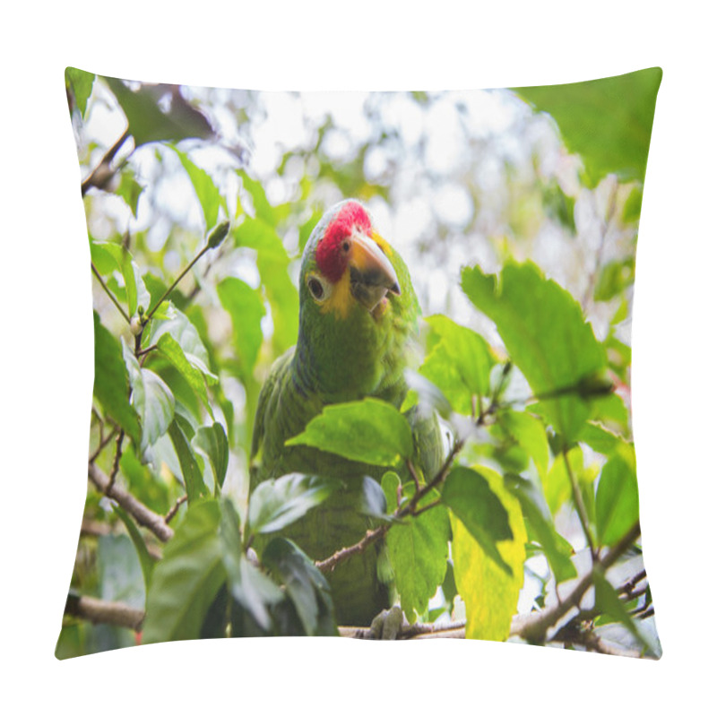 Personality  Green Parrot In Natural Habitat Pillow Covers