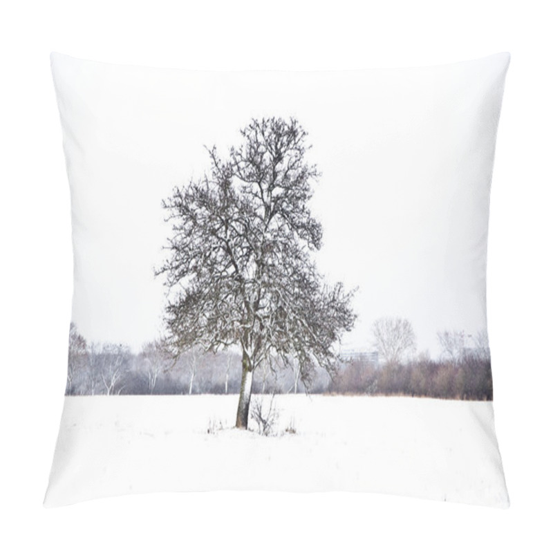 Personality  Flatland With Snow In Winter With Trees Pillow Covers