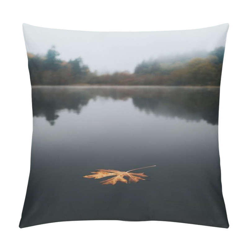 Personality  Large Golden Autumn Leaf Floating In A Lake With A Beautiful Natural Background And Reflections Pillow Covers