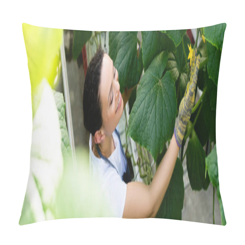 Personality  High Angle View Of African American Farmer Touching Flower On Cucumber Plant, Banner Pillow Covers