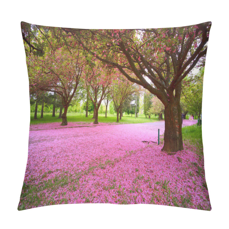 Personality  May Sakura In Transcarpathia, Ukraine, Near The City Of Mukachevo. Beautiful Delicate Pink Flowers At Dawn Are Very Popular With Tourists From All Over The World. Pillow Covers