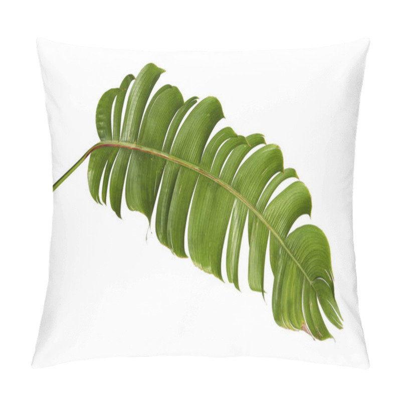 Personality  Heliconia Chartacea Leaves,Tropical Leaf, Bird Of Paradise Foliage Isolated On White Background, With Clipping Path                               Pillow Covers