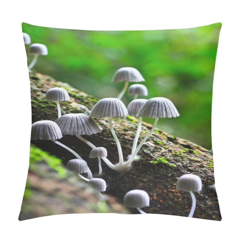 Personality  White Mushrooms Pillow Covers