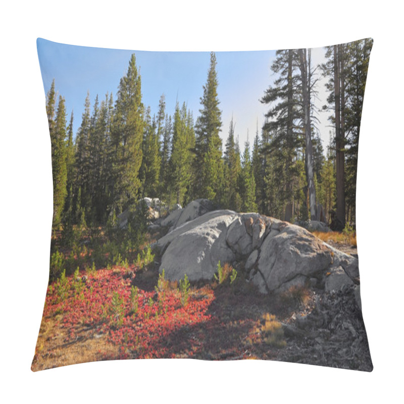 Personality  Clear Solar Morning And Red Moss Pillow Covers