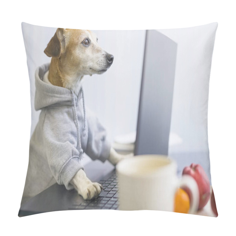 Personality  Smart Concentrated Dog Is Working On Project Online. Using Computer Laptop. Pet Wearing Stylish Sporty And Hoodie. Freelancer Work From Home Concept. Funny Manager Designer Programmer Work Concept Pillow Covers