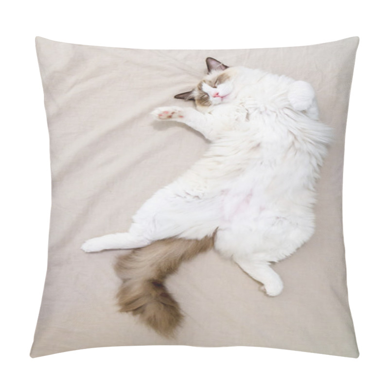 Personality  Graceful Sleeping Kitten Pillow Covers