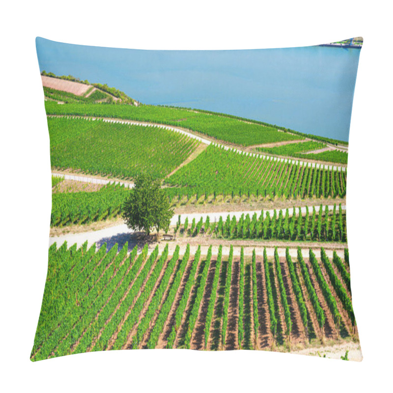 Personality  Aerial Panoramic View Of River Rhine Gorge Or Upper Middle Rhine Valley Winemaking Region Pillow Covers