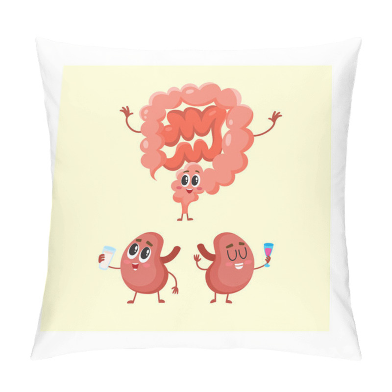 Personality  Funny, Smiling Human Bowels And Kidneys Characters, Digestive System Pillow Covers