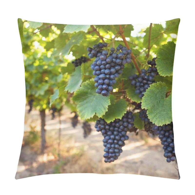 Personality  A High-resolution Ultrarealistic Image Captures Lush Green And Slightly Yellowed Vineyard Leaves And Clusters Of Plump Purple Grapes Hanging From A Sturdy Vine. It Showcases The Vineyards Extending Into The Blurred Background Under A Golden, Sunlit Pillow Covers