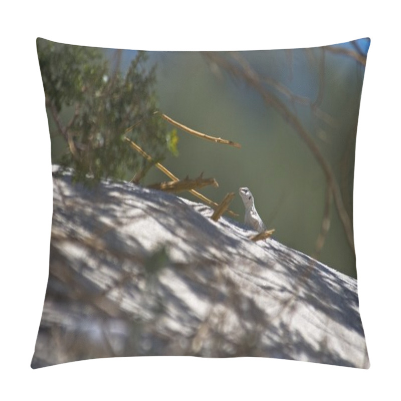 Personality  Desert Iguana (Dipsosaurus Dorsalis) Pillow Covers