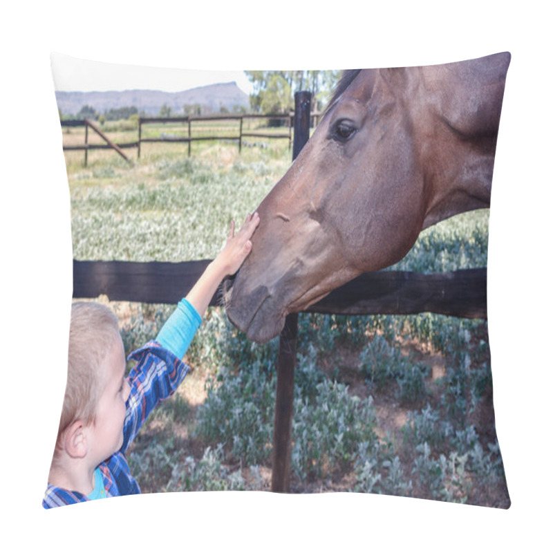 Personality  Young Boy Stroking Horse Head In Paddock Closeup Pillow Covers