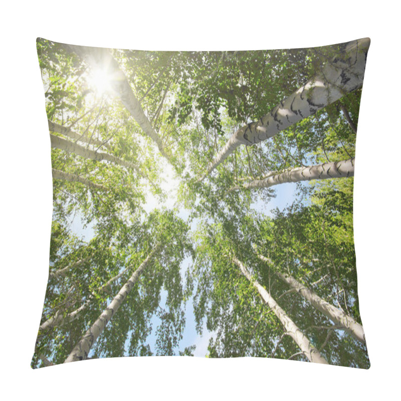 Personality  Tops Of Birch Trees And Sun Pillow Covers