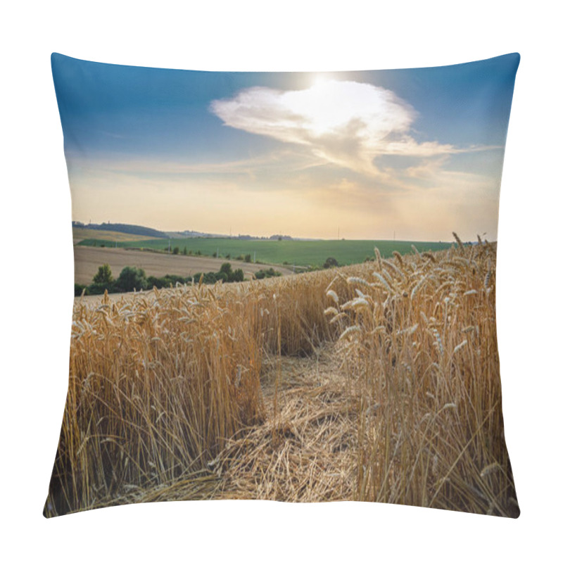 Personality  Wheat Field Under Blue Sky. Rich Harvest Theme. Rural Landscape With Ripe Golden Wheat. The Global Problem Of Grain In The World. Pillow Covers