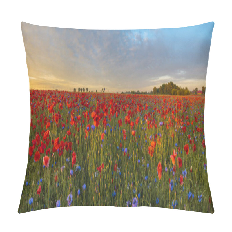 Personality  Red Poppies Among Cornflowers And Other Wildflowers In The Setti Pillow Covers