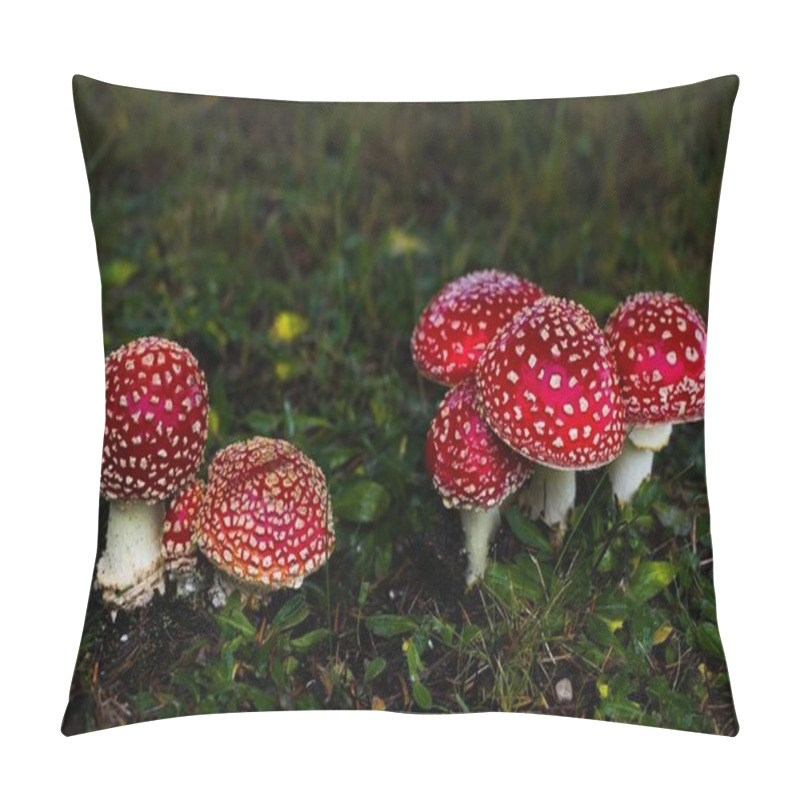 Personality  Small Crimson Mushrooms Thrive Beneath A Spruce, Adding A Pop Of Color To The Grassy Landscape, Evoking A Magical Atmosphere. Pillow Covers