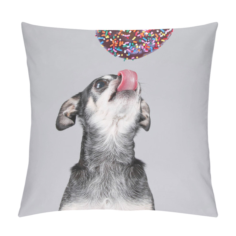 Personality  Cute Photo Of A Funny Chihuahua Isolated On A Gray Background Eating A Giant Chocolate Doughnut With Colorful Sprinkles  Pillow Covers