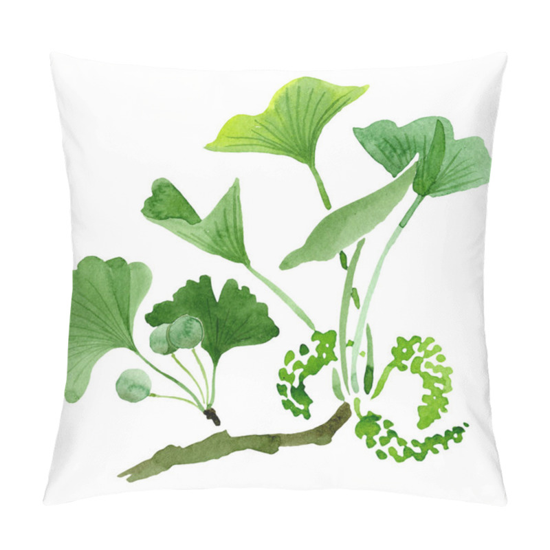 Personality  Green Ginkgo Biloba With Leaves Isolated On White. Watercolour Ginkgo Biloba Drawing Isolated Illustration Element. Pillow Covers