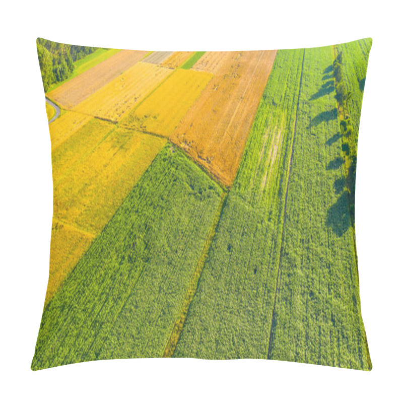 Personality  Abstract Geometric Shapes Of Agricultural Parcels Of Different Crops In Yellow And Green Colors. Aerial View Shoot From Drone Directly Above Field Pillow Covers