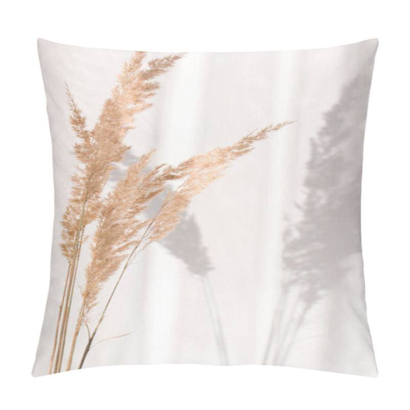 Personality  Close-up Of Soft Dry Branches Of Beige Reeds On A Light Background In A Modern Stylish And Minimalistic Interior.Beautiful Natural Background In Neutral Tones And Shades.Trendy Rustic Style.Vertically Pillow Covers