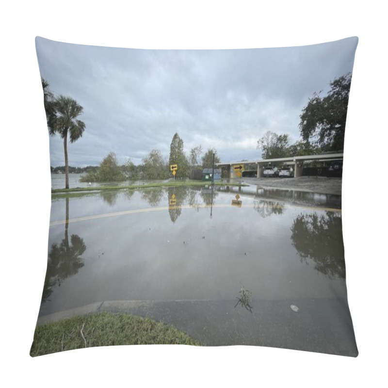 Personality  Lakeland, Fla USA 10 11 24: Hurricane Milton Damage And Scattered Foliage Flooding Lake Hunter Pillow Covers