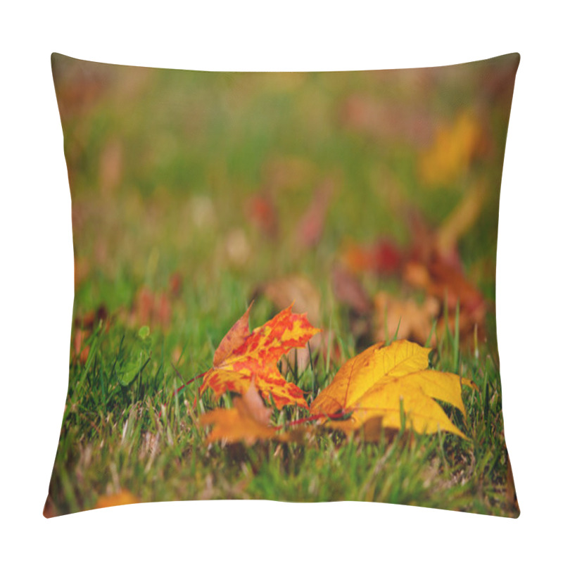 Personality  Autumn Pillow Covers