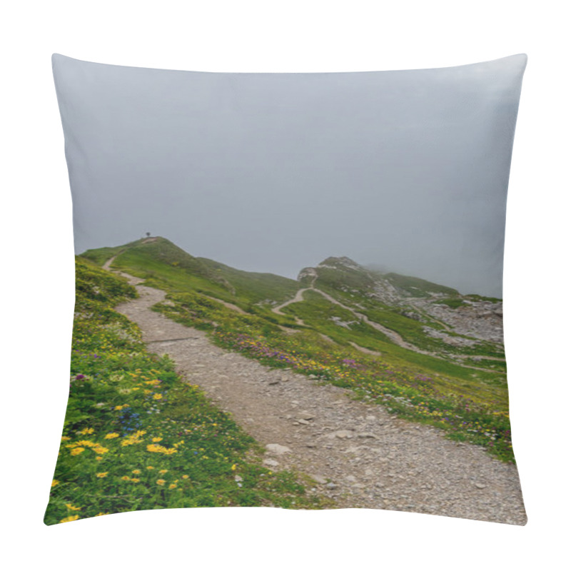 Personality  Beautiful Exploration Tour Through The Appenzell Mountains In Switzerland. - Appenzell/Alpstein/Switzerland Pillow Covers