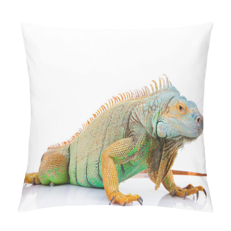 Personality  Iguana On Isolated White Pillow Covers