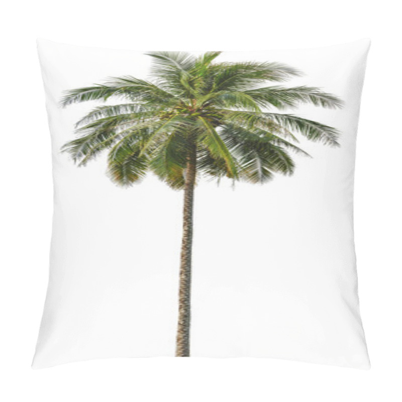 Personality  Coconut Palm Tree Isolated On White Background Pillow Covers