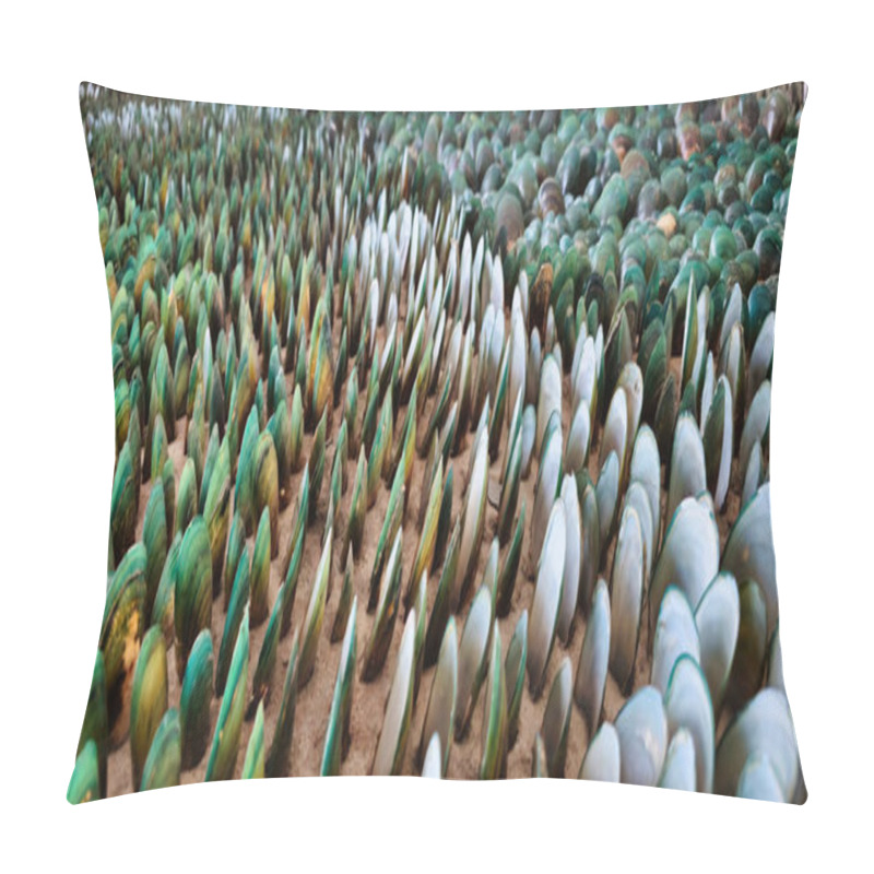 Personality  Dense Arrangements Of Green-lipped Mussels, Showing Vibrant Green And Earthy Tones. The Patterns Are Consistent And Cover The Surface Densely, Emphasizing A Natural Or Aquaculture-related Arrangement. Pillow Covers