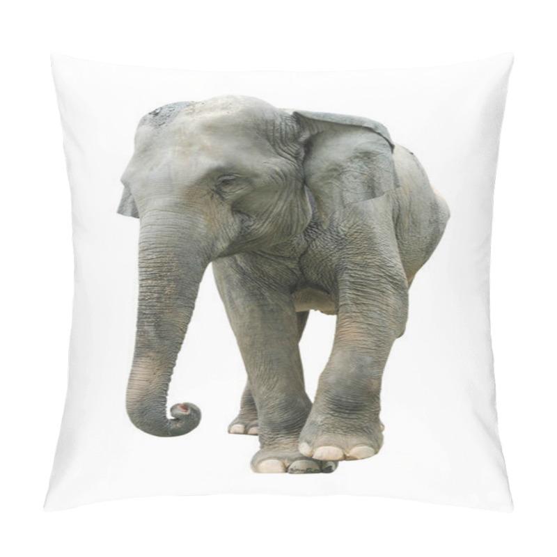 Personality  Elephant Isolated On White Background. Elephants Are The Largest Land Mammals On Earth And Have Distinctly Massive Bodies, Large Ears, And Long Trunks. Pillow Covers