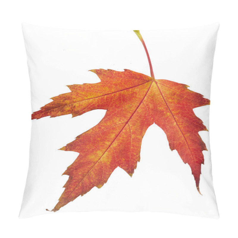 Personality  Maple Autumn Leaf Pillow Covers