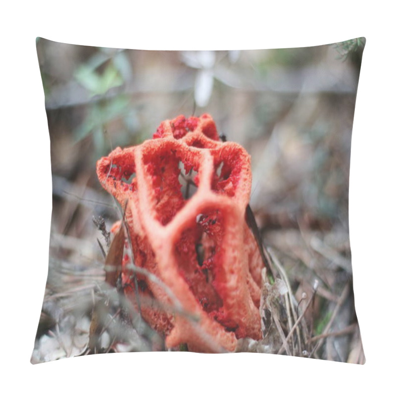 Personality  This Striking Close-up Showcases The Unique And Fascinating Structure Of Clathrus Ruber, Also Known As The Red Cage Mushroom Pillow Covers