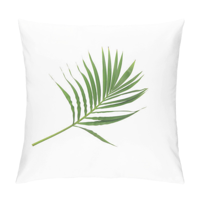 Personality  Green Leaf Of Palm Tree Isolated On White Background Pillow Covers