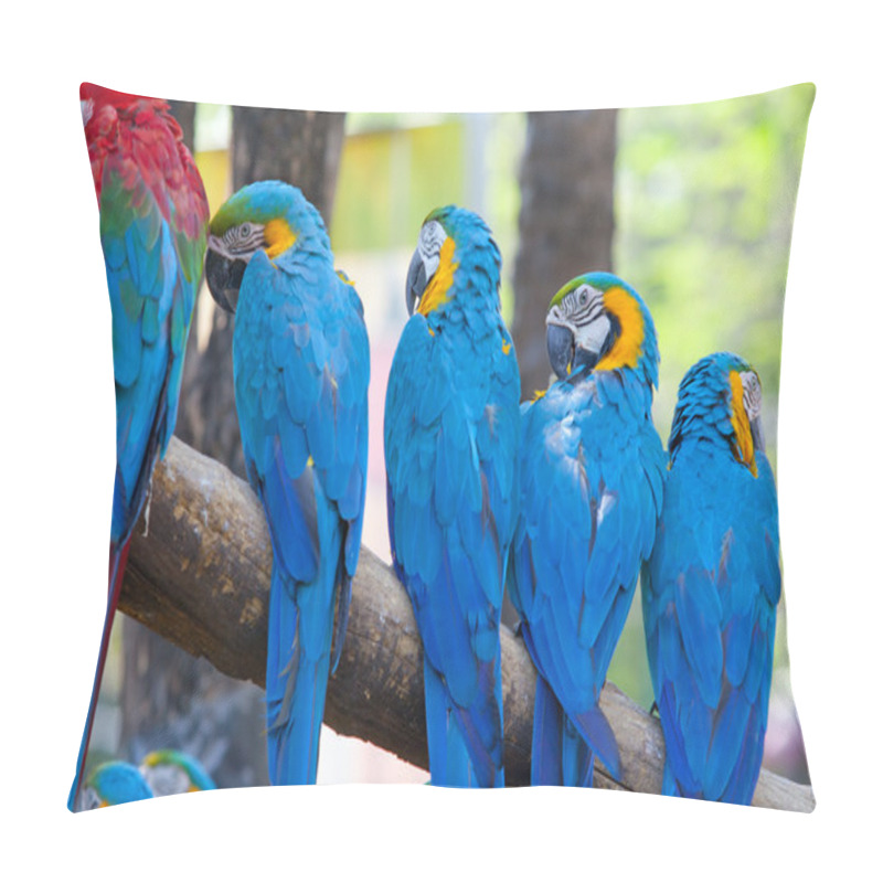 Personality  Scarlet Macaw Pillow Covers