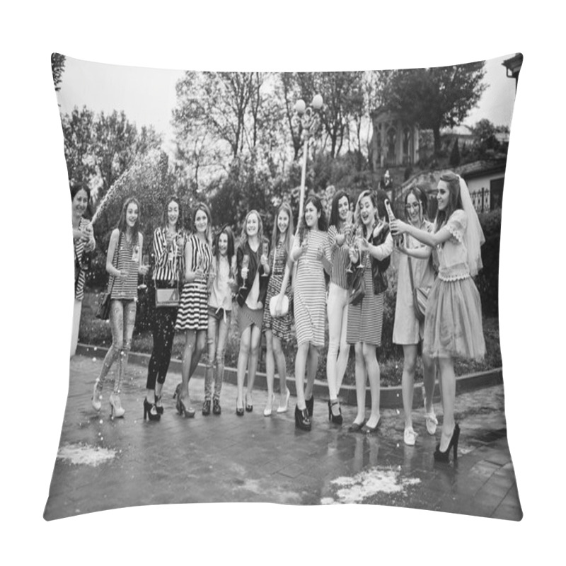 Personality  Eleven Attractive Braidsmaids With Lovely Bride Celebrating Bach Pillow Covers