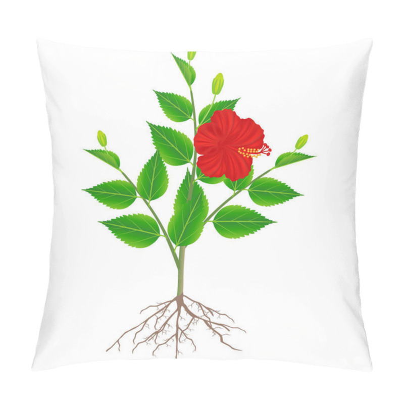 Personality  Hibiscus Plant With Roots Isolated On White Background. Pillow Covers