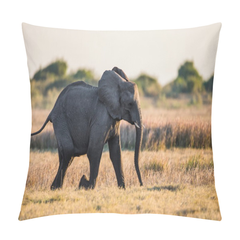 Personality  African Elephant Running In Savanna Pillow Covers