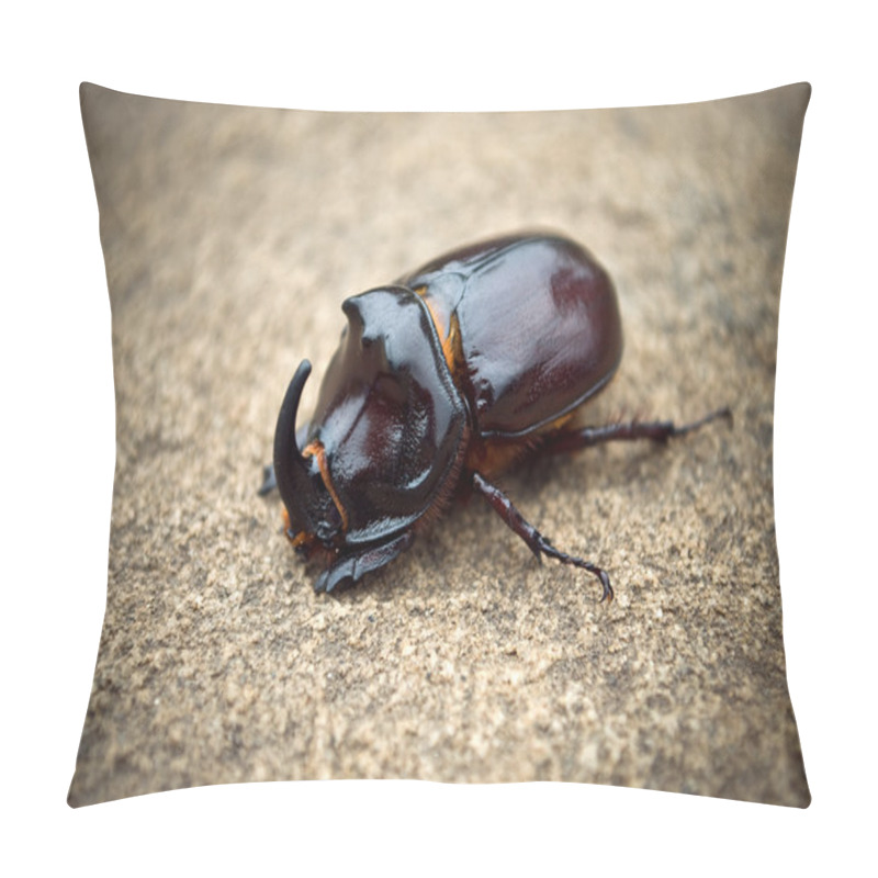 Personality  Bug Pillow Covers