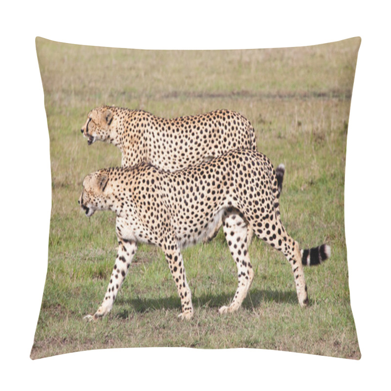 Personality  Two Cheetahs Hunting Pillow Covers