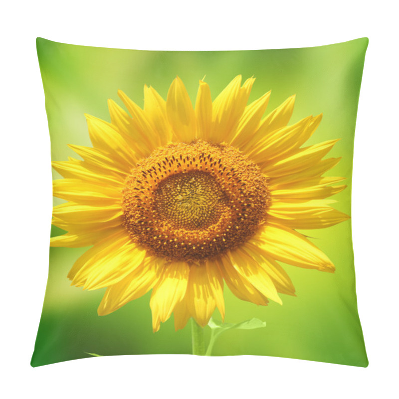 Personality  Sunflower Pillow Covers