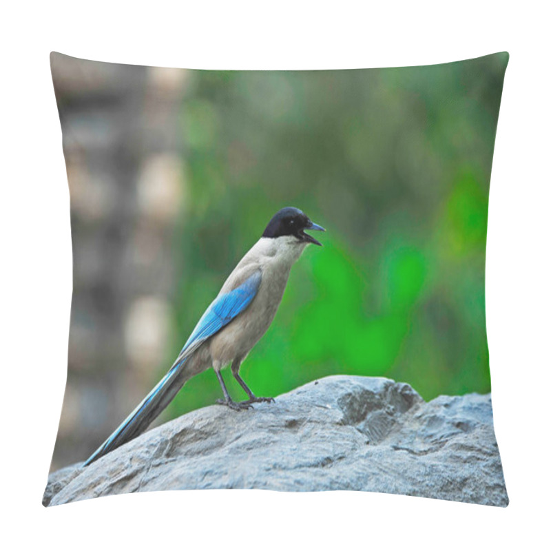 Personality  Flamingos  Telephoto Lens Shooting Pillow Covers