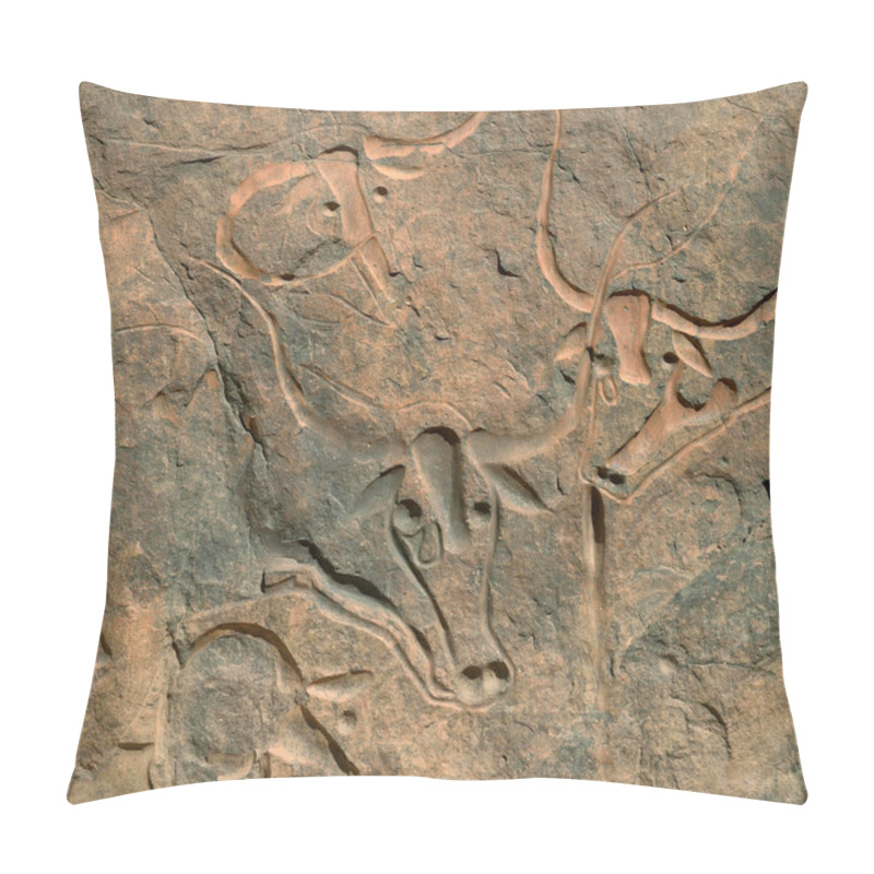 Personality  PREHISTORIC ART AND ROCK ENGRAVINGS AND PAINTINGS IN THE SAHARA DESERT AROUNG DJANET OASIS IN ALGERIA Pillow Covers