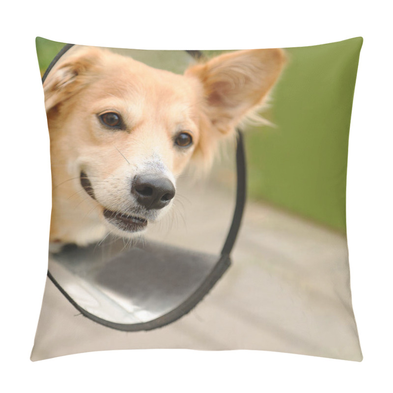 Personality  Portrait Of A Dog Wearing An Elizabethan Collar. Dog In A Plastic Cone.  Pillow Covers