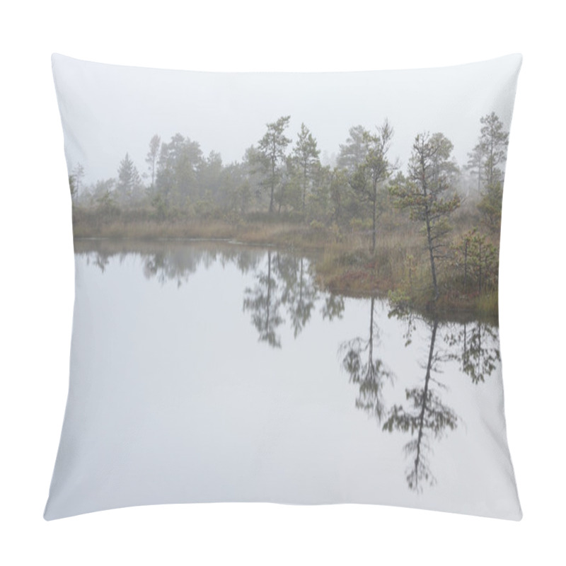 Personality  Misty Marsh Landscape Pillow Covers